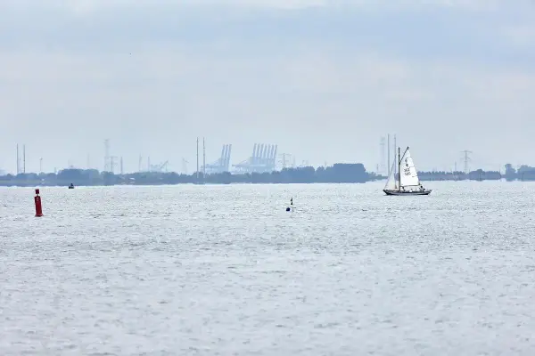 oosterschelde op de achtergrond