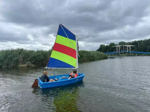 dolfijnen zijn aan het zeilen op zomerkamp