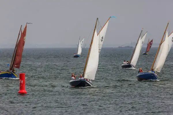 de 222 op de regionale zeilwedstrijden op de Oosterschelde bij Yerseke