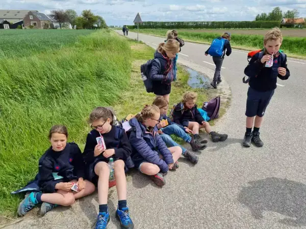 dolfijnen zijn aan het zeilen op zomerkamp