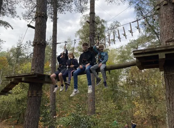 dolfijnen zijn aan het zeilen op zomerkamp